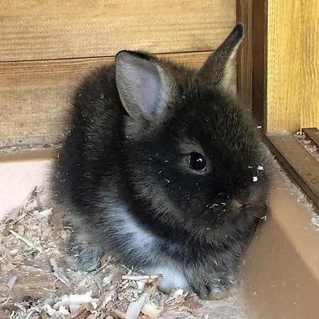 Apartman Apartmenthaus Sonnenhang