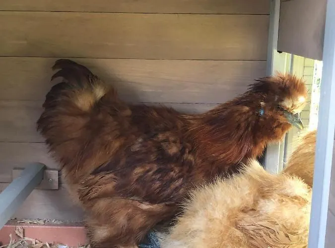 Apartmenthaus Sonnenhang * Schladming